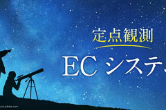 株式会社翔泳社が運営する「ECzine｜定点観測〜ECシステム編〜」においてECカート選定や事業設計について寄稿